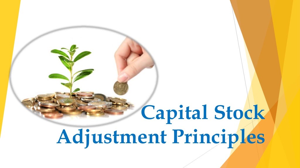 Capital stock adjustment principles (1)