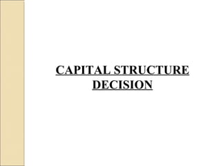CAPITAL STRUCTURE
     DECISION
 