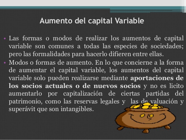 Capital variable