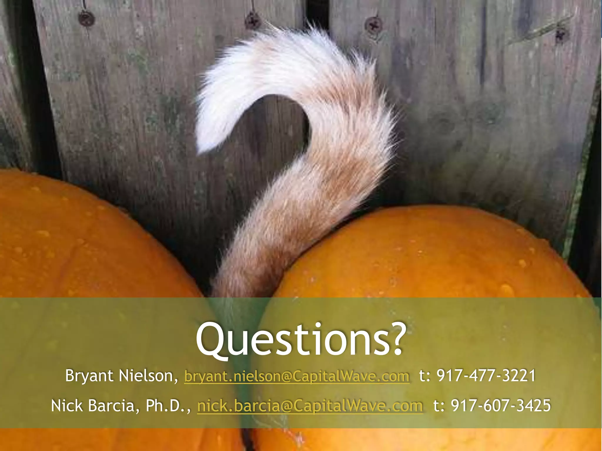 The Learning Pyramid – Current LearningQuestions?Bryant Nielson, bryant.nielson@CapitalWave.comt: 917-477-3221Nick Barcia, Ph.D., nick.barcia@CapitalWave.com  t: 917-607-3425