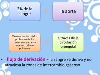 2% de la
          sangre
                                la aorta



     Vasculariza los tejidos
       profundos de los        a través de la
      pulmones y no esta        circulación
        expuesto al aire
           pulmonar
                                 bronquial


• flujo de derivación − la sangre se deriva y no
  atraviesa la zonas de intercambio gaseoso.
 