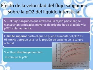 Efecto de la velocidad del flujo sanguíneo
   sobre la pO2 del liquido intersticial
 Si ▴ el flujo sanguíneo que atraviesa un tejido particular, se
 transportan cantidades mayores de oxigeno hacia el tejido y la
 pO2 tisular aumenta.

 El limite superior hasta el que se puede aumentar el pO2 es
 95mmHg , porque esta es la presión de oxigeno en la sangre
 arterial.

 Si el flujo disminuye también
 disminuye la pO2.
 