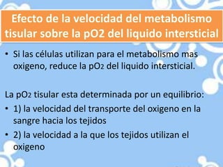 • Si las células utilizan para el metabolismo mas
  oxigeno, reduce la pO2 del liquido intersticial.

La pO2 tisular esta determinada por un equilibrio:
• 1) la velocidad del transporte del oxigeno en la
  sangre hacia los tejidos
• 2) la velocidad a la que los tejidos utilizan el
  oxigeno
 