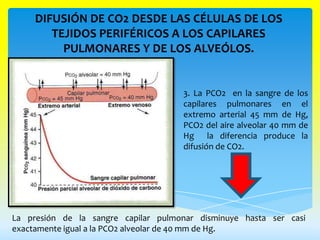 DIFUSIÓN DE CO2 DESDE LAS CÉLULAS DE LOS
        TEJIDOS PERIFÉRICOS A LOS CAPILARES
          PULMONARES Y DE LOS ALVEÓLOS.


                                     3. La PCO2 en la sangre de los
                                     capilares pulmonares en el
                                     extremo arterial 45 mm de Hg,
                                     PCO2 del aire alveolar 40 mm de
                                     Hg la diferencia produce la
                                     difusión de CO2.




La presión de la sangre capilar pulmonar disminuye hasta ser casi
exactamente igual a la PCO2 alveolar de 40 mm de Hg.
 