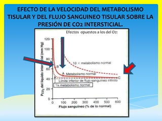 EFECTO DE LA VELOCIDAD DEL METABOLISMO
TISULAR Y DEL FLUJO SANGUINEO TISULAR SOBRE LA
          PRESIÓN DE CO2 INTERSTICIAL.
                  Efectos opuestos a los del O2:
 