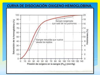 CURVA DE DISOCIACIÓN OXIGENO-HEMOGLOBINA.
 