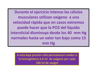 Durante el ejercicio intenso las células
     musculares utilizan oxígeno a una
  velocidad rápida que en casos extremos
    puede hacer que la PO2 del líquido
intersticial disminuya desde los 40 mm Hg
normales hasta un valor tan bajo como 15
                   mm Hg

   A esta baja presión sólo permanecen unidos a
    la hemoglobina 4,4 ml de oxígeno por cada
                  100 ml de sangre
 