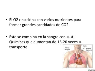 • El O2 reacciona con varios nutrientes para
  formar grandes cantidades de CO2.

• Éste se combina en la sangre con sust.
  Químicas que aumentan de 15-20 veces su
  transporte
 