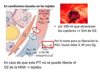 En condiciones basales en los tejidos




                                    • x/c 100 ml que atraviesan
                                      los capilares => 5ml de O2.

                                    Por lo tanto para su liberación la
                                    PO2 tisular debe ⇓ 40 mm Hg.




En caso de que esta P⇈ no se puede liberar el
O2 de la HEM -> tejidos.
 