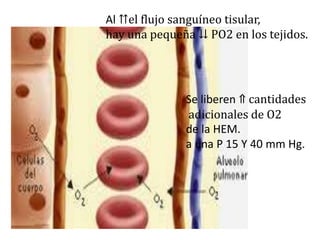 Al ⇈el flujo sanguíneo tisular,
hay una pequeña ⇊ PO2 en los tejidos.




              Se liberen ⇑ cantidades
              adicionales de O2
              de la HEM.
              a una P 15 Y 40 mm Hg.
 
