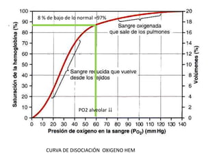 8 % de bajo de lo normal =97%




                 PO2 alveolar ⇊




   CURVA DE DISOCIACIÓN OXIGENO HEM
 