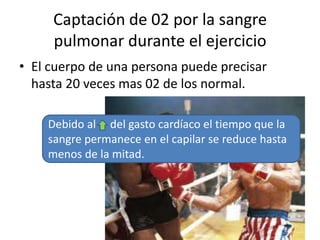 Captación de 02 por la sangre
     pulmonar durante el ejercicio
• El cuerpo de una persona puede precisar
  hasta 20 veces mas 02 de los normal.

    Debido al del gasto cardíaco el tiempo que la
    sangre permanece en el capilar se reduce hasta
    menos de la mitad.
 