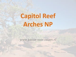 Capitol Reef
 Arches NP

www.passie-voor-reizen.nl
 