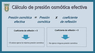Coeficiente de reflexión = 0
◦ El soluto ejerce la máxima presión osmótica
Coeficiente de reflexión = 0
◦ No ejerce ninguna presión osmótica
Presión osmótica = Presión x coeficiente
efectiva osmótica de reflexión
 