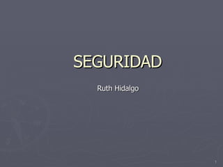 SEGURIDAD Ruth Hidalgo 