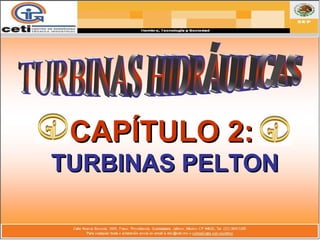 CAPÍTULO 2:CAPÍTULO 2:
TURBINAS PELTONTURBINAS PELTON
 