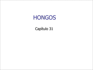 HONGOS Capítulo 31 