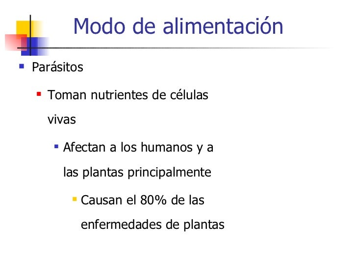 Que sacar las lombrices al niño sin medicinas