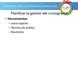 Planificar la gestión del cronograma
• Herramientas:
– Juicio experto
– Técnicas de análisis
– Reuniones
 
