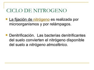 La fijación de  nitrógeno  es realizada por microorganismos y por relámpagos. Denitrificación.  Las bacterias denitrificantes del suelo convierten el nitrógeno disponible del suelo a  nitrógeno atmosférico.   CICLO DE NITROGENO 