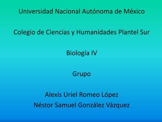 Universidad Nacional Autónoma de México
Colegio de Ciencias y Humanidades Plantel Sur
Biología IV
Grupo
Alexis Uriel Romeo López
Néstor Samuel González Vázquez
 