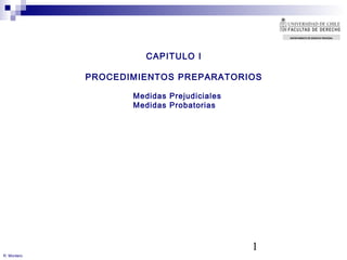 1
CAPITULO I
PROCEDIMIENTOS PREPARATORIOS
R. Montero
Medidas Prejudiciales
Medidas Probatorias
DEPARTAMENTO DE DERECHO PROCESAL
 