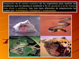 Adaptación  es el  cambio evolutivo  de los organismos para resolver los problemas que les plantea el ambiente a fin  de ajustarse a él de manera más eficaz y armónica . Hay tres tipos diferentes de adaptaciones las cuales son:  morfológicas, fisiológicas y conductuales   