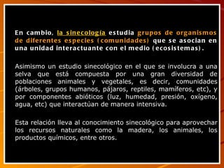 En cambio,  la sinecología  estudia  grupos de organismos de diferentes especies (comunidades)  que se asocian en una unidad interactuante con el medio (ecosistemas). Asimismo un estudio sinecológico en el que se involucra a una selva que está compuesta por una gran diversidad de poblaciones animales y vegetales, es decir, comunidades (árboles, grupos humanos, pájaros, reptiles, mamíferos, etc), y por componentes abióticos (luz, humedad, presión, oxígeno, agua, etc) que interactúan de manera intensiva.  Esta relación lleva al conocimiento sinecológico para aprovechar los recursos naturales como la madera, los animales, los productos químicos, entre otros. 