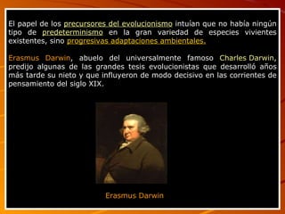 El papel de los  precursores del evolucionismo  intuían que no había ningún tipo de  predeterminismo  en la gran variedad de especies vivientes existentes, sino  progresivas adaptaciones ambientales. Erasmus Darwin , abuelo del universalmente famoso  Charles Darwin , predijo algunas de las grandes tesis evolucionistas que desarrolló años más tarde su nieto y que influyeron de modo decisivo en las corrientes de pensamiento del siglo XIX. Erasmus Darwin 