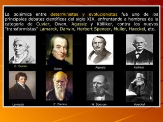 La polémica entre  deterministas y evolucionistas  fue uno de los principales debates científicos del siglo XIX, enfrentando a hombres de la categoría de  Cuvier , Owen,  Agassiz  y Kölliker, contra los nuevos "transformistas"  Lamarck ,  Darwin ,  Herbert Spencer ,  Muller ,  Haeckel , etc. Lamarck  G. Cuvier Owen   Agassiz  Kolliker  C. Darwin H. Spencer  Haeckel  