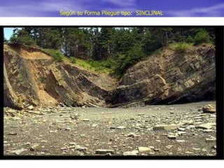 Según su Forma Pliegue tipo: SINCLINAL
 