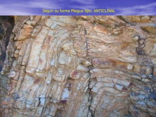 Según su forma Pliegue tipo: ANTICLINAL
 