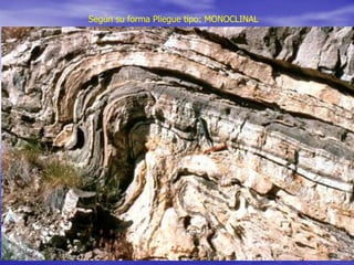 Según su forma Pliegue tipo: MONOCLINAL
 