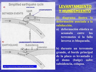 http://sts.gsc.nrcan.gc.ca/page1/geoh/quake/fig2.htm
El diagrama ilustra la
deformación asociada a la
subducción.
a) deformación elástica se
acumula entre los
terremotos si la falla
inversa es bloqueada.
b) durante un terremoto
grande, el borde principal
de la placa es levantado y
el domo (bulge) sufre
subsidencia, colapsa.
a
b
leLEVANTAMIENTO
(HUNDIMIENTO PROGRESIVO)
DOMO (BULGE)
b)
a) LEVANTAMIENTO
Y HUNDIMIENTO
 
