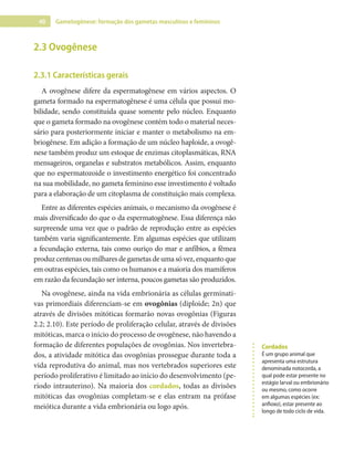 40 Gametogênese: formação dos gametas masculinos e femininos
2.3 Ovogênese
2.3.1 Características gerais
A ovogênese difere da espermatogênese em vários aspectos. O
gameta formado na espermatogênese é uma célula que possui mo-
bilidade, sendo constituída quase somente pelo núcleo. Enquanto
que o gameta formado na ovogênese contém todo o material neces-
sário para posteriormente iniciar e manter o metabolismo na em-
briogênese. Em adição a formação de um núcleo haploide, a ovogê-
nese também produz um estoque de enzimas citoplasmáticas, RNA
mensageiros, organelas e substratos metabólicos. Assim, enquanto
que no espermatozoide o investimento energético foi concentrado
na sua mobilidade, no gameta feminino esse investimento é voltado
para a elaboração de um citoplasma de constituição mais complexa.
Entre as diferentes espécies animais, o mecanismo da ovogênese é
mais diversificado do que o da espermatogênese. Essa diferença não
surpreende uma vez que o padrão de reprodução entre as espécies
também varia significantemente. Em algumas espécies que utilizam
a fecundação externa, tais como ouriço do mar e anfíbios, a fêmea
produzcentenasoumilharesdegametasdeumasóvez,enquantoque
em outras espécies, tais como os humanos e a maioria dos mamíferos
em razão da fecundação ser interna, poucos gametas são produzidos.
Na ovogênese, ainda na vida embrionária as células germinati-
vas primordiais diferenciam-se em ovogônias (diploide; 2n) que
através de divisões mitóticas formarão novas ovogônias (Figuras
2.2; 2.10). Este período de proliferação celular, através de divisões
mitóticas, marca o início do processo de ovogênese, não havendo a
formação de diferentes populações de ovogônias. Nos invertebra-
dos, a atividade mitótica das ovogônias prossegue durante toda a
vida reprodutiva do animal, mas nos vertebrados superiores este
período proliferativo é limitado ao início do desenvolvimento (pe-
ríodo intrauterino). Na maioria dos cordados, todas as divisões
mitóticas das ovogônias completam-se e elas entram na prófase
meiótica durante a vida embrionária ou logo após.
Cordados
É um grupo animal que
apresenta uma estrutura
denominada notocorda, a
qual pode estar presente no
estágio larval ou embrionário
ou mesmo, como ocorre
em algumas espécies (ex:
anfioxo), estar presente ao
longo de todo ciclo de vida.
 