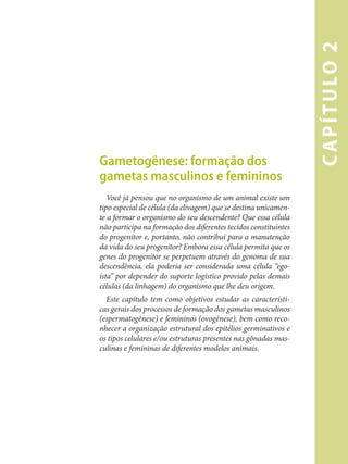 c
a
p
í
t
u
lo
2
Gametogênese: formação dos
gametas masculinos e femininos
Você já pensou que no organismo de um animal existe um
tipo especial de célula (da clivagem) que se destina unicamen-
te a formar o organismo do seu descendente? Que essa célula
não participa na formação dos diferentes tecidos constituintes
do progenitor e, portanto, não contribui para a manutenção
da vida do seu progenitor? Embora essa célula permita que os
genes do progenitor se perpetuem através do genoma de sua
descendência, ela poderia ser considerada uma célula “ego-
ísta” por depender do suporte logístico provido pelas demais
células (da linhagem) do organismo que lhe deu origem.
Este capítulo tem como objetivos estudar as característi-
cas gerais dos processos de formação dos gametas masculinos
(espermatogênese) e femininos (ovogênese), bem como reco-
nhecer a organização estrutural dos epitélios germinativos e
os tipos celulares e/ou estruturas presentes nas gônadas mas-
culinas e femininas de diferentes modelos animais.
 