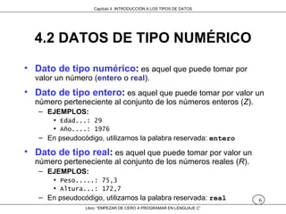 Introducción a los tipos de datos | PPS