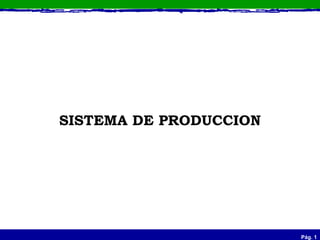SISTEMA DE PRODUCCION 