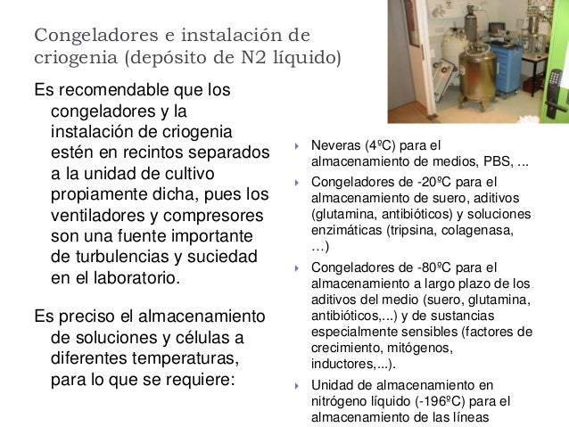 Caracterización De Los Procesos Que Se Realizan En Los