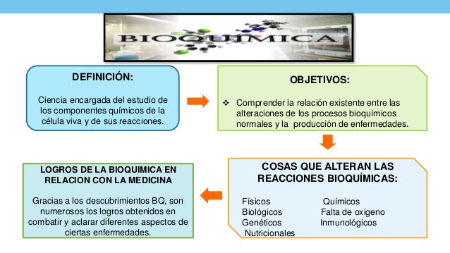 Objetivo De Estudio De La Bioquímica es.slideshare.net