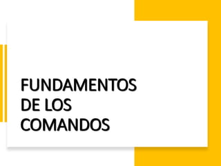 ING. MARY DUNNIA LOPEZ N.
FUNDAMENTOS
DE LOS
COMANDOS
 