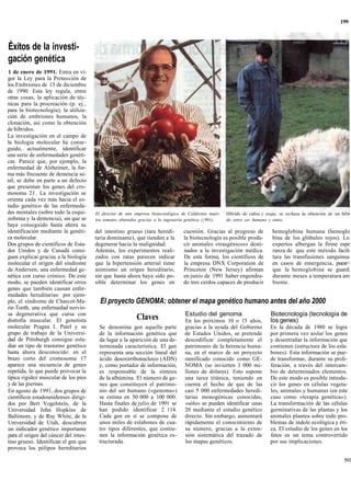 199



Éxitos de la investi-
gación genética
1 de enero de 1991. Entra en vi-
gor la Ley para la Protección de
los Embriones de 13 de diciembre
de 1990. Esta ley regula, entre
otras cosas, la aplicación de téc-
nicas para la procreación (p. ej.,
para la biotecnología), la utiliza-
ción de embriones humanos, la
clonación, así como la obtención
de híbridos.
La investigación en el campo de
la biología molecular ha conse-
guido, actualmente, identificar
una serie de enfermedades genéti-
cas. Parece que, por ejemplo, la
enfermedad de Alzheimer, la for-
ma más frecuente de demencia se-
nil, se debe en parte a un defecto
que presentan los genes del cro-
mosoma 21. La investigación se
orienta cada vez más hacia el es-
tudio genético de las enfermeda-
des mentales (sobre todo la esqui-     El director de una empresa biotecnológica de California mués-    Híbrido de cabra y oveja; se rechaza la obtención de un híbn
zofrenia y la demencia), sin que se    tra tomates obtenidos gracias a la ingeniería genética (¡991).   do entre ser humano y simio.
haya conseguido hasta ahora su
identificación mediante la genéti-     del intestino grueso (tara heredi-         cuestión. Gracias al progreso de            hemoglobina humana (hemoglo
ca molecular.                          taria dominante), que tienden a la         la biotecnología es posible produ-          bina de los glóbulos rojos). Lo
Dos grupos de científicos de Esta-     degenerar hacia la malignidad.             cir animales «trasgénicos» desti-           expertos albergan la firme espe
dos Unidos y de Canadá consi-          Además, los experimentos reali-            nados a la investigación médica.            ranza de que este método facili
guen explicar gracias a la biología    zados con ratas parecen indicar            De esta forma, los científicos de           tara las transfusiones sanguínea
molecular el origen del síndrome       que la hipertensión arterial tiene         la empresa DNX Corporation de               en casos de emergencia, puest<
de Andersen, una enfermedad ge-        asimismo un origen hereditario,            Princeton (New Jersey) afirman              que la hemoglobina se guard;
nética con curso crónico. De este      sin que hasta ahora haya sido po-          en junio de 1991 haber engendra-            durante meses a temperatura am
modo, se pueden identificar otros      sible determinar los genes en              do tres cerdos capaces de producir          biente.
genes que también causan enfer-
medades hereditarias: por ejem-
plo, el síndrome de Charcot-Ma-          El proyecto GENOMA: obtener el mapa genético humano antes del año 2000
rie-Tooth, una enfermedad nervio-
sa degenerativa que cursa con                                                      Estudio del genoma                        Biotecnología (tecnología de
distrofia muscular. El genetista                           Claves                  En los próximos 10 o 15 años,             los genes)
molecular Pragna I. Patel y su          Se denomina gen aquella parte              gracias a la ayuda del Gobierno           En la década de 1980 se logra
grupo de trabajo de la Universi-        de la información genética que             de Estados Unidos, se pretende            por primera vez aislar los genes
dad de Pittsburgh consigue estu-        da lugar a la aparición de una de-         descodificar completamente el             y desentrañar la información que
diar un tipo de trastorno genético      terminada característica. El gen           patrimonio de la herencia huma-           contienen (estructura de los esla-
hasta ahora desconocido: en el          representa una sección lineal del          na, en el marco de un proyecto            bones). Esta información se pue-
brazo corto del cromosoma 17            ácido desoxirribonucleico (ADN)            ramificado conocido como GE-              de transformar, durante su proli-
aparece una secuencia de genes          y, como portador de información,           NOMA (se invierten 3 000 mi-              feración, a través del intercam-
repetida, lo que puede provocar la      es responsable de la síntesis              llones de dólares). Esto supone           bio de determinados elementos.
típica rigidez muscular de los pies     de la albúmina. El número de ge-           una tarea titánica, teniendo en           De este modo es posible introdu-
y de las piernas.                       nes que constituyen el patrimo-            cuenta el hecho de que de las             cir los genes en células vegeta-
En agosto de 1991, dos grupos de        nio del ser humano («genoma»)              casi 5 000 enfermedades heredi-           les, animales y humanas (en este
científicos estadounidenses dirigi-     se estima en 50 000 a 100 000.             tarias monogénicas conocidas,             caso como «terapia genética»).
dos por Bert Vogelstein, de la          Hasta finales de julio de 1991 se          «sólo» se pueden identificar unas         La transformación de las células
Universidad John Hopkins de             han podido identificar 2 114.              20 mediante el estudio genético           germinativas de las plantas y los
Baltimore, y de Ray White, de la        Cada gen en sí se compone de               directo. Sin embargo, aumentará           animales plantea sobre todo pro-
Universidad de Utah, descubren          unos miles de eslabones de cua-            rápidamente el conocimiento de            blemas de índole ecológica y éti-
un indicador genético importante        tro tipos diferentes, que contie-          su número, gracias a la exten-            ca. El estudio de los genes en los
para el origen del cáncer del intes-    nen la información genética es-            sión sistemática del trazado de           fetos es un tema controvertido
tino grueso. Identifican el gen que     tructurada.                                los mapas genéticos.                      por sus implicaciones.
provoca los pólipos hereditarios

                                                                                                                                                                 591
 