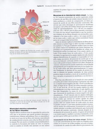 Capitulo 10  exitación ritmica del corazón