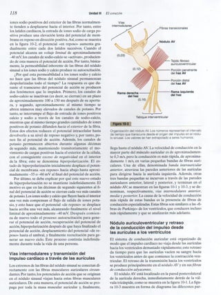 Capitulo 10  exitación ritmica del corazón