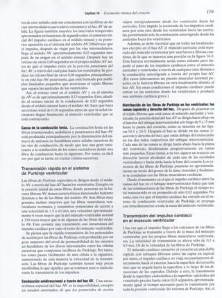 Capitulo 10  exitación ritmica del corazón