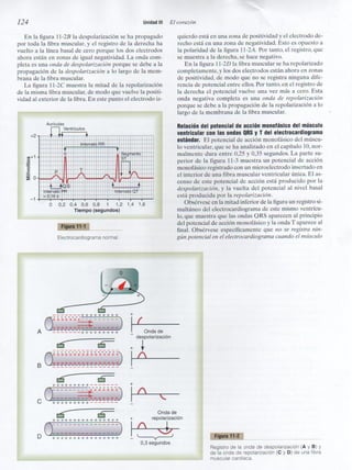Capitulo 11  electrocardiograma normal