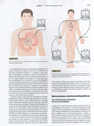 Capitulo 11  electrocardiograma normal