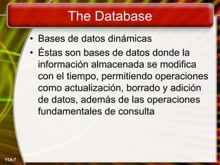 11A-7The DatabaseBases de datos dinámicasÉstas son bases de datos donde la información almacenada se modifica con el tiempo, permitiendo operaciones como actualización, borrado y adición de datos, además de las operaciones fundamentales de consulta