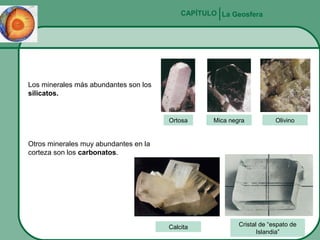 CAPÍTULO La Geosfera

Los minerales más abundantes son los
silicatos.

Ortosa

Mica negra

Olivino

Otros minerales muy abundantes en la
corteza son los carbonatos.

Calcita

Cristal de “espato de
Islandia”

 