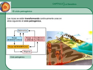 CAPÍTULO La Geosfera
El ciclo petrogénico
Las rocas se están transformando continuamente unas en
otras siguiendo el ciclo petrogénico.

Sedimentos

Rocas
SEDIMENT A RIA S

Rocas
VOLCÁ
NICA S
Í GNEA S PLU TÓ
NICA S

Rocas MET MÓ
A RFICA S
Magmas

Ciclo petrogénico.

 
